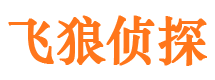 相山市私家侦探